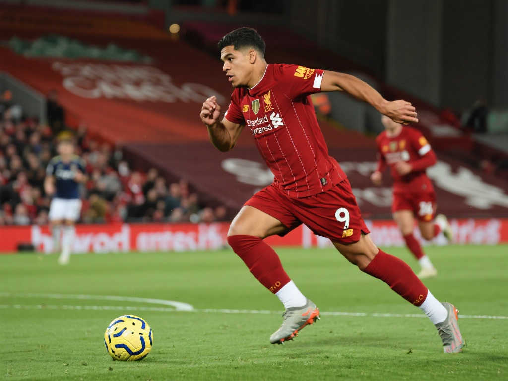 的传奇篇章 的传奇篇章